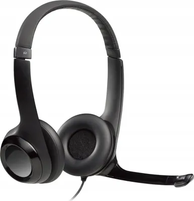 Image de Logitech USB Headset H390 schwarz (981-000014)