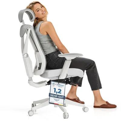 Image de Chaise de bureau ergonomique Desktronic SitPro, réglable, grise, accoudoirs 3D, soutien lombaire intégré à 5 positions