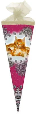 Produktbild von Nestler Schultüte Tüllv. 35 cm rund Katzenbabys