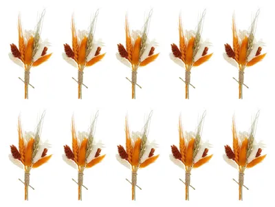 Trockenblumen-Minibouquet, 10 Stk., Orange, Pampasgras, Boho-Deko