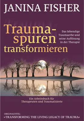 Produktbild von Traumaspuren transformieren