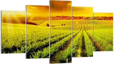 Produktbild von Bild auf Leinwand - Leinwandbild - Land Weingut Pflanzung - 160x85cm - Wand Bild - Wanddeko - Leinwanddruck - Bilder - Kunstdruck - Wanddekoration - Leinwand bilder - Wandkunst - EA160x85-2694