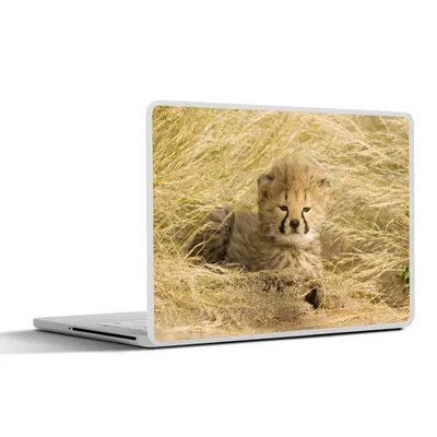 Produktbild von MuchoWow® Laptop Aufkleber Sticker Cover Gepard - Jung - Gras 30x21 cm - Sticker für Laptop - Selbstklebend