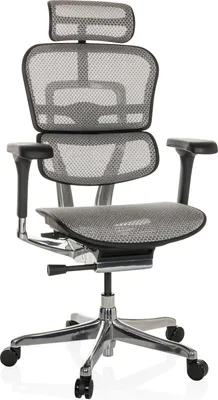 Produktbild von hjh OFFICE Luxus Chefsessel ERGOHUMAN GEN2 Ergonomischer Bürostuhl mit Armlehnen (höhenverstellbar) Netzstoff Drehstuhl für Büro, Zuhause