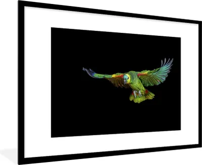 Produktbild von MuchoWow® Gerahmtes Poster Papagei - Vogel - Federn 90x60 cm - Poster mit Schwarzem Bilderrahmen Wandposter Rahmen Foto Bilder - Wanddekoration - Fotos