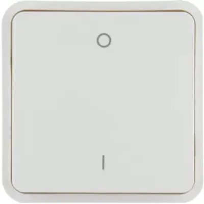 Produktbild von Berker 30423542, Wippe, Weiß, Kunststoff, W.1, IP55