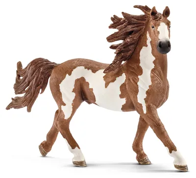 Produktbild von schleich FARM WORLD Pinto Hengst, 3 Jahr(e), Farm animals / farm toys, Horses, Mehrfarbig, Kunststoff, 1 Stück(e)
