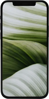 Produktbild von #GOECO Apple iPhone 12 mini, 13,7 cm (5.4"), 4 GB, 64 GB, 12 MP, iOS 14, Schwarz