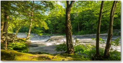 Produktbild von Tulup® Leinwandbild - 140x70 cm - Wandkunst - Drucke auf Leinwand - Leinwanddruck  - Landschaften - Grün - Fluss im Wald