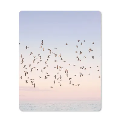 Produktbild von MuchoWow® Mauspad Mousepad Vögel - Meer - Himmel - Natur - Sommer 30x40 cm - Mousepads - Maus Mat - Pad - Mausunterlage - Mausmatten