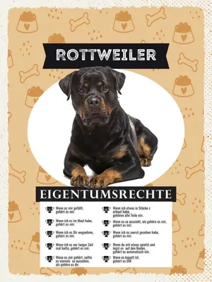 Produktbild von vianmo Holzschild 40x30 cm Rottweiler Eigentumsrechte Tier Haustier