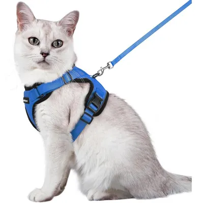 Produktbild von Katzengeschirr mit Leine, ausbruchsicher, verstellbar, Blau, Größe M