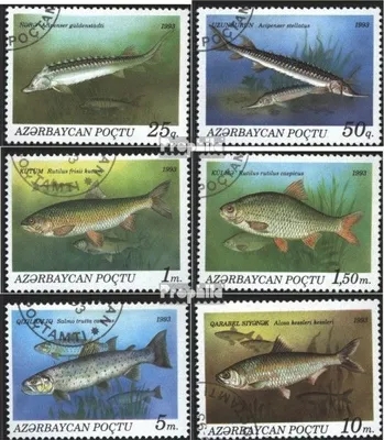 Produktbild von Briefmarken Aserbaidschan 1993 Mi 98-103 (kompl.Ausg.) gestempelt Fische