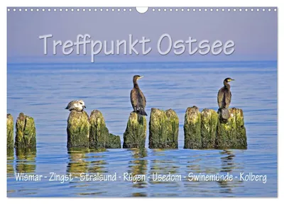 Produktbild von Treffpunkt Ostsee (Wandkalender 2027 DIN A3 quer), CALVENDO Monatskalender