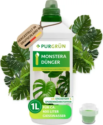 A bottle of Purgrün Monstera fertilizer surrounded by Monstera leaves.