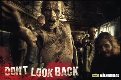 Produktbild von Walking Dead - Poster - Zombies
