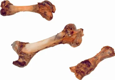Produktbild von Nobby Rinderknochen, Gewicht: 550 - 800 g