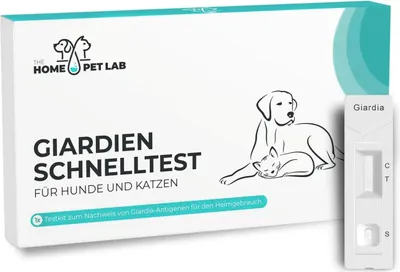 Produktbild von HomePetLab Giardien Schnelltest für Hunde & Katzen 1er Packung