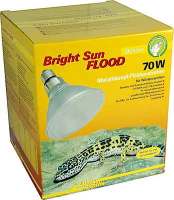 Produktbild von Lucky Reptile - Bright Sun FLOOD Desert - 70W