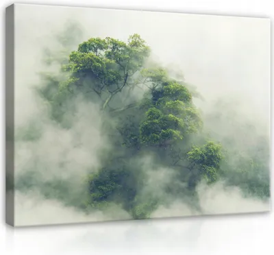 Produktbild von Leinwandbild Wald im Nebel Dschungel Natur Grün Groß 60x40 cm XXL Modern Canvas Leinwand Bilder Leinwandbilder Wandbilder Kunstdruck Bild auf Leinwand Aufhängefertig