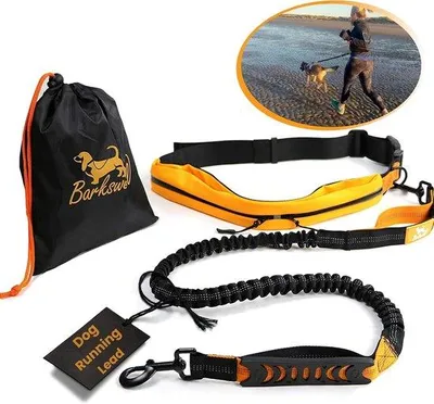 Produktbild von Famanu Freilaufleine für Hunde bis 60 kg - Joggen mit Bungee-Leine und Bauchgurt