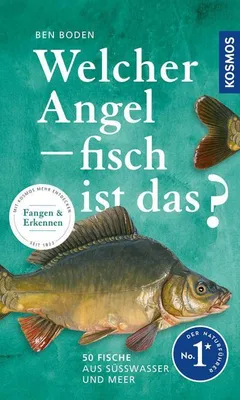 Image de Welcher Angelfisch ist das?