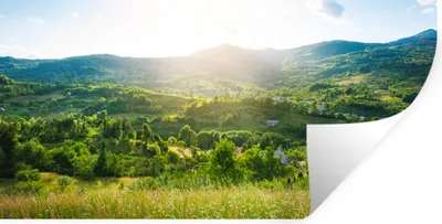 Produktbild von MuchoWow® Wandtattoo Wandsticker Wandaufkleber Wald - Landschaft - Sonne - Natur - Sonnenaufgang 120x60 cm Selbstklebend und Repositionierbar - Sticker - Dekorfolie