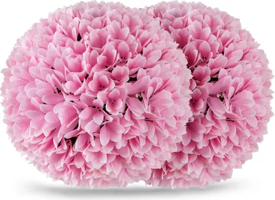 Zdjęcie produktu dla COSTWAY 2er bukszpan kula 28cm, odporny na promieniowanie UV, topiary sztuczna roślina dekoracyjna, bukszpan kula sztuczna roślina, dekoracyjne rośliny kula różowy
