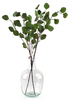 Produktbild von Vase hohe Bodenvase, transparentes Glas, Höhe ca. 60 cm, für Zweige