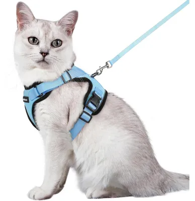 Produktbild von Katzengeschirr mit Leine, ausbruchsicher, verstellbar, atmungsaktiv, Hellblau, Größe M