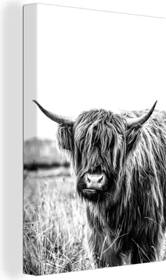 Produktbild von OneMillionCanvasses® - Leinwandbilder - 90x140 cm, Wiederkäuender schottischer Hochlandrind - schwarz und weiß, Wandbilder Kunstdruck Wanddekoration - Wandschmucke - Schlafzimmer