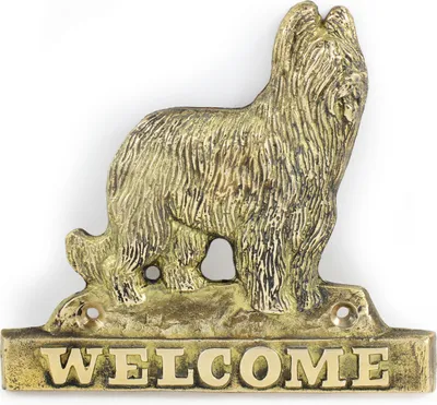 Immagine prodotto di Art-Dog Targa per porta – Briard