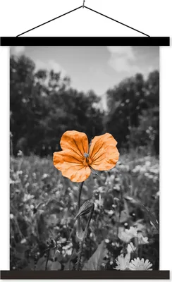 Produktbild von MuchoWow® Textilposter Blumen - Schwarz - Weiß - Orange 120x180 cm mit schwarzem Rahmen - Fotos