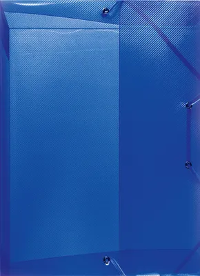 Immagine prodotto di scatola per quaderni herlitz, DIN A4, in PP, blu traslucido