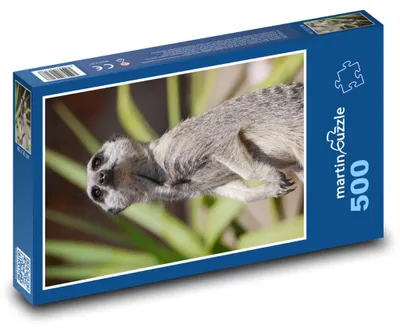 Obrázok produktu pre Puzzle 500 Surykata na stráži - martinpuzzle