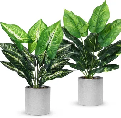 Produktbild von Unyqoos® Set mit 2 realistischen Kunstpflanzen für moderne Innenraumdekoration, 40,6 cm hoch, pflegeleicht