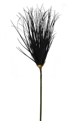 Produktbild von 2474U Kunstzweig Lampenputzer, Künstliches Lampenputzergras Schwarz, 102 cm