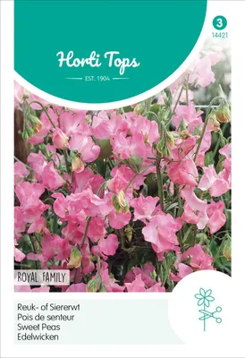 Immagine prodotto di Veccia nobile Royal Family Rosa | Semi di fiori di Hortitops