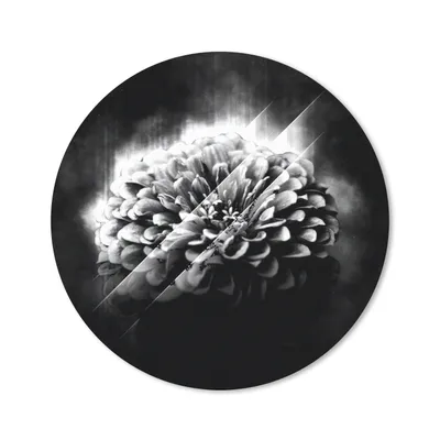 Produktbild von MuchoWow® Mauspad Mousepad Rosen - Blumen - Licht - Schwarz - Weiß 20x20 cm - Mousepads - Maus Mat - Pad - Mausunterlage - Schreibtischmatte