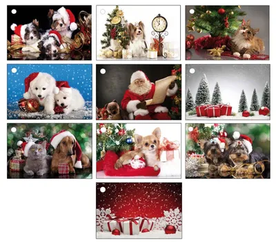 Produktbild von 100 Geschenkanhänger Weihnachten Weihnachts-Geschenkanhänger Anhänger für Geschenke
