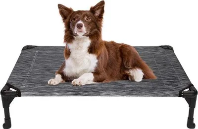 Immagine prodotto di Grande cuccia per cani