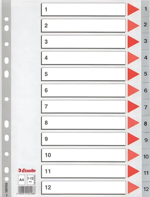 Image de Index plastique Esselte A4, numérique 1-12, gris