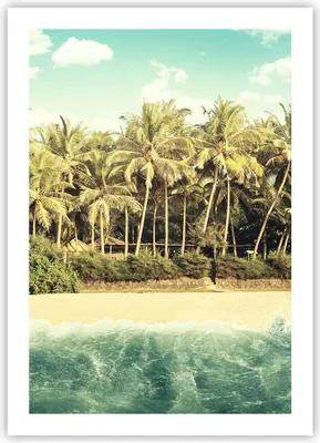 Produktbild von Poster - Poster ohne Rahmen - Natur Strand Palmen - 50x70 cm - Wand Bild - Wanddeko - Wandbilder - Kunstposter - Wandposter - Bilder - Kunstdruck - Wanddekoration - Wandbild - P2XPA50x70-4915