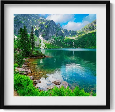Produktbild von Bewaldete Berglandschaft– Wandbild mit Rahmen – Gerahmtes Bild  – Wanddekoration – 50x50 cm –  Schwarz Rahmen