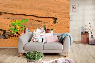 Produktbild von Vlies Fototapete WÜSTENPFLANZE  375 x 250 cm (inkl. Kleister) - Vlies Tapete, Wandtapete, Wandbilder - Tapete für Wohnzimmer Schlafzimmer, Büro, Küche - Montagefertig