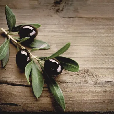 Produktbild von RP 20 Servietten Olives on a Wood - Oliven auf Holz 33x33cm