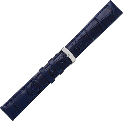 Image de Bracelet de montre homme femme MORELLATO A01X2704656062CR20 bleu marine
