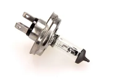 Image de H4 12v/60/55w p45t rallye only off-road bulb