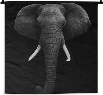 Produktbild von MuchoWow® Wandteppich Wandbehang Elefant - Wildtiere - Schwarz - Weiß - Porträt 90x90 cm Tapisserie Dekoration Wandtuch - Wandaufhänger
