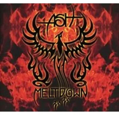 Produktbild von Meltdown Produkt